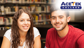 Acetek College